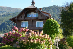 Wohnen am See Villa Schrötter direkt am Traunsee